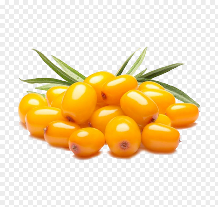 Vegetarian Food Hippophae Orange PNG