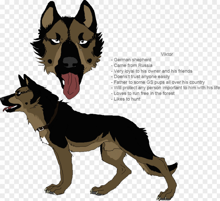 War Dog Breed German Shepherd Leash Snout PNG