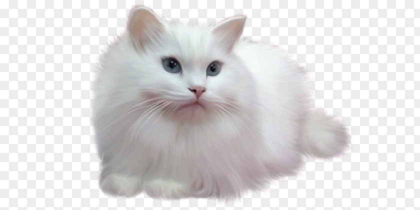 White Cat Blog Diary Afternoon .de Painting PNG