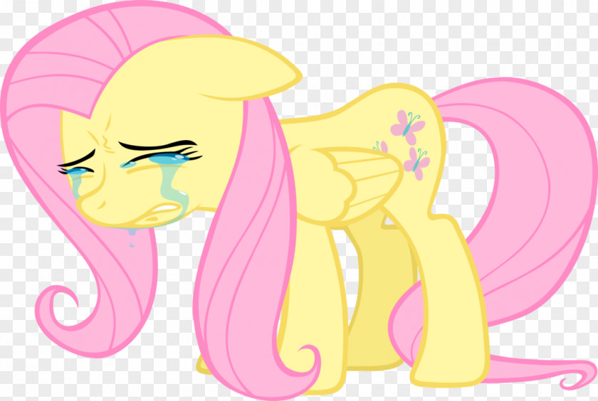 Broken Heart Fluttershy Pony Rarity Twilight Sparkle Rainbow Dash PNG