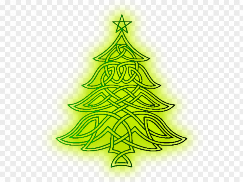 Christmas Tree Lights Photography PNG