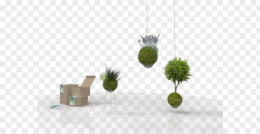 Food Starter Flowerpot PNG