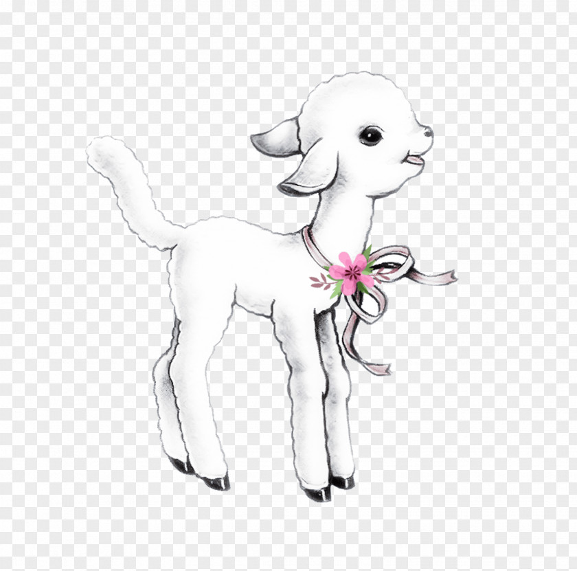 Lamb Puppy Sheep Drawing Clip Art PNG