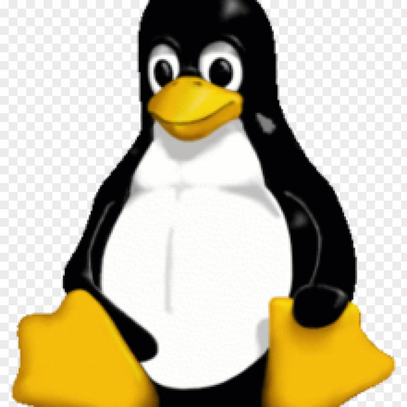 Linux Pingus Tux Distribution Installation PNG