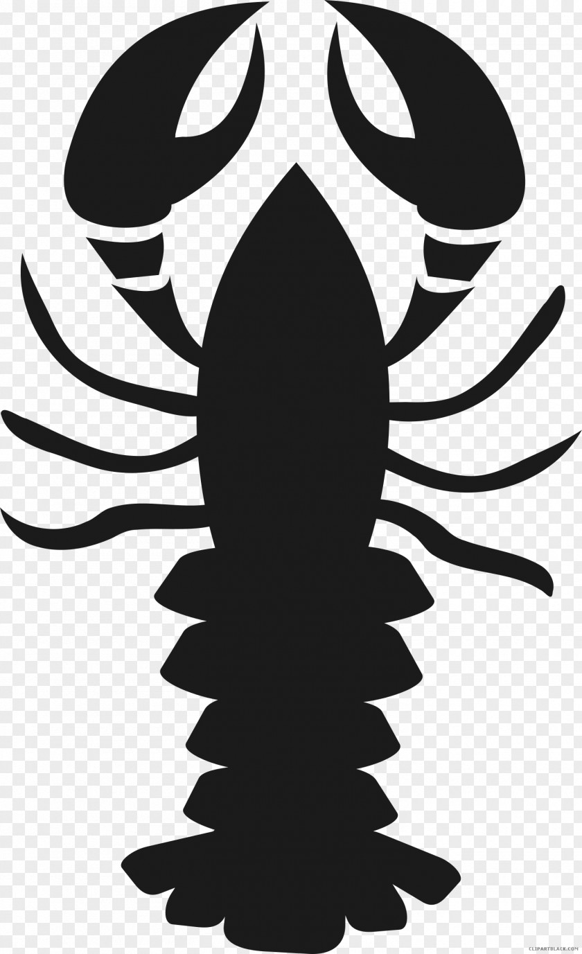Lobster Clip Art Christmas Vector Graphics Image PNG