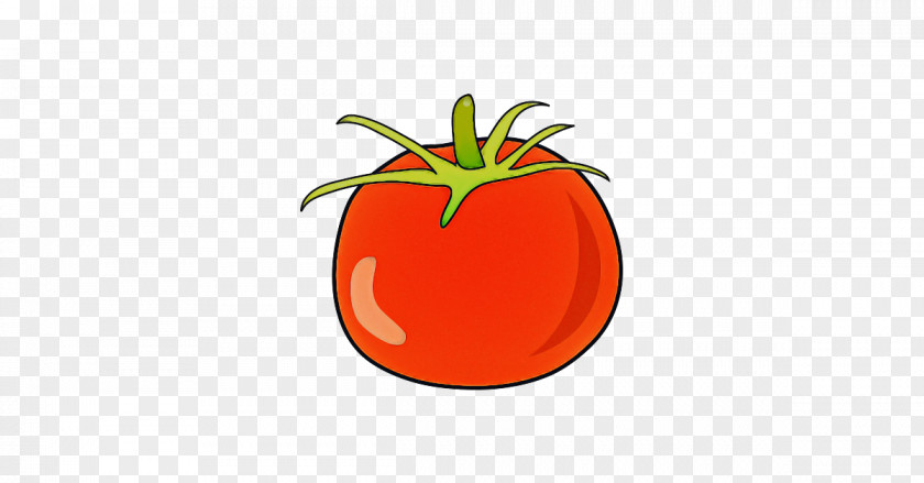 Orange PNG