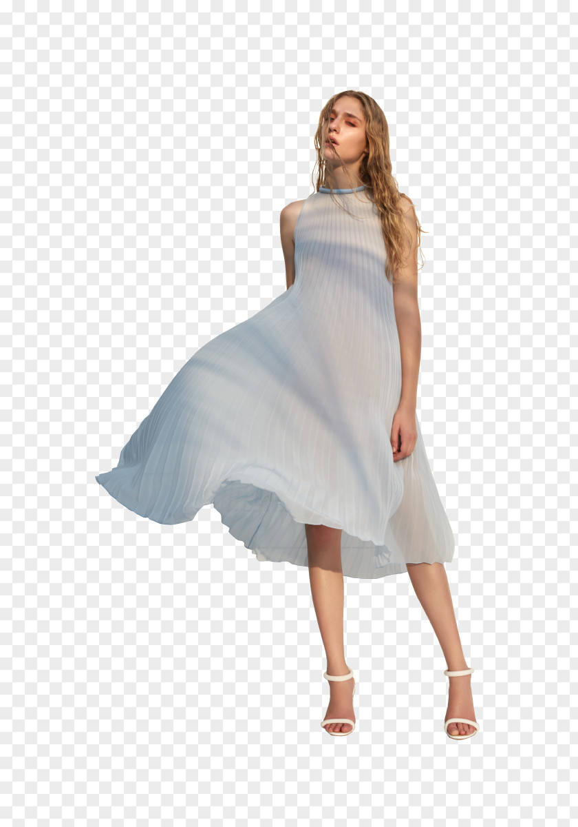 Spirited Away Cocktail Dress Shoulder Gown PNG