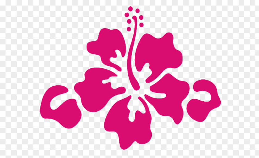 Bachelor Hawaiian Hibiscus Sticker Decal PNG