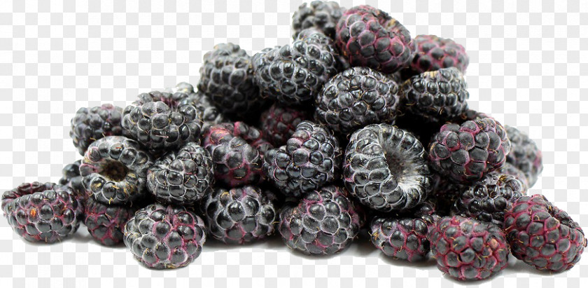 Black Raspberries File Frutti Di Bosco Raspberry Boysenberry PNG