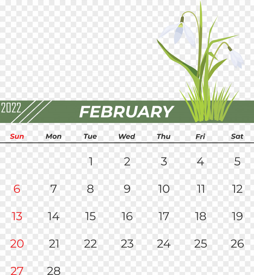 Calendar Line Font Green Meter PNG