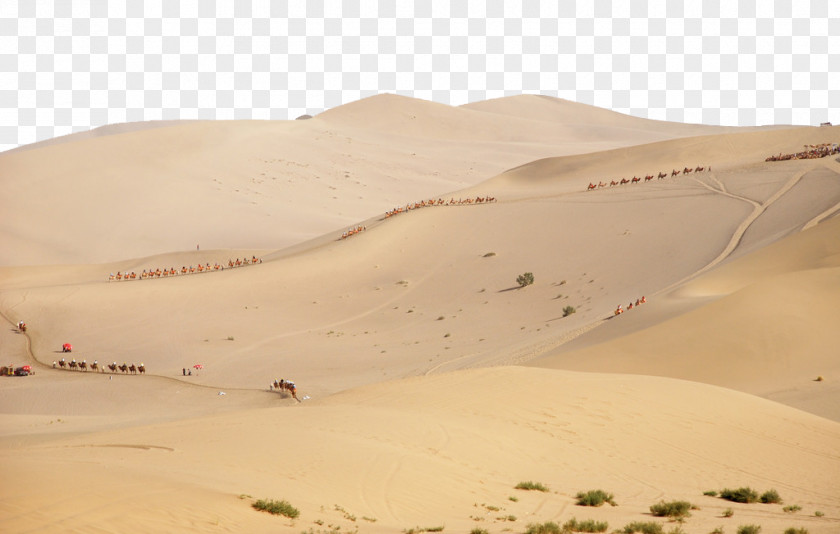 Desert Sahara Erg Singing Sand PNG