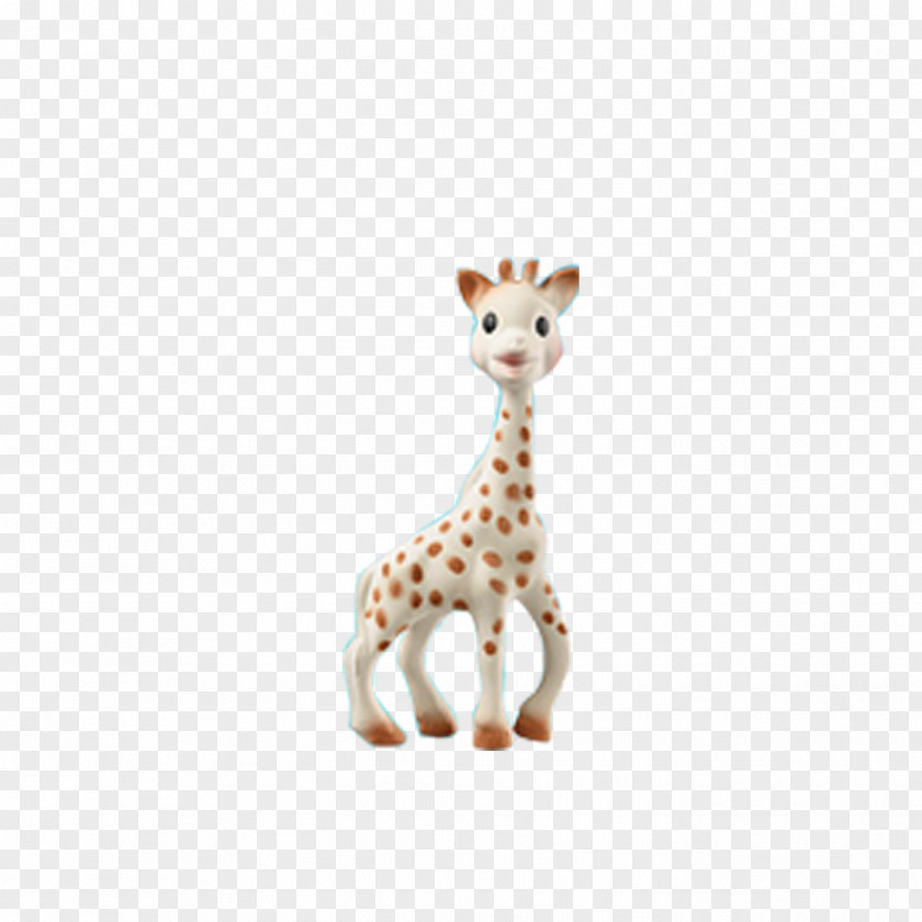 Giraffe Northern Sophie The Neck Infant Vulli S.A.S. PNG