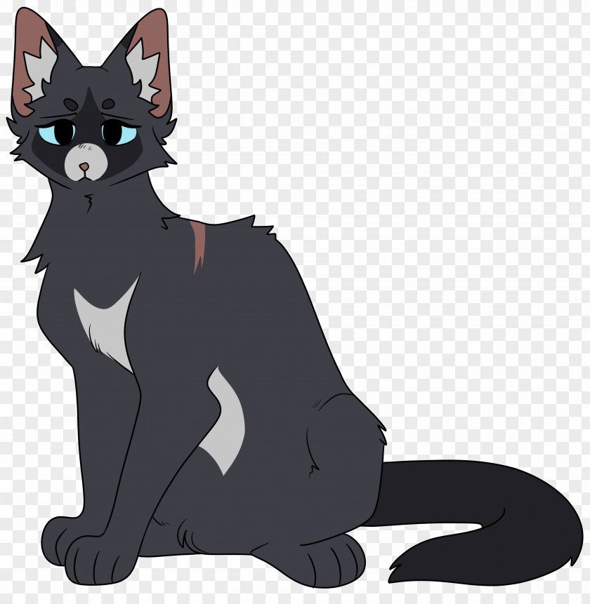 Kitten Whiskers Warriors Domestic Short-haired Cat PNG