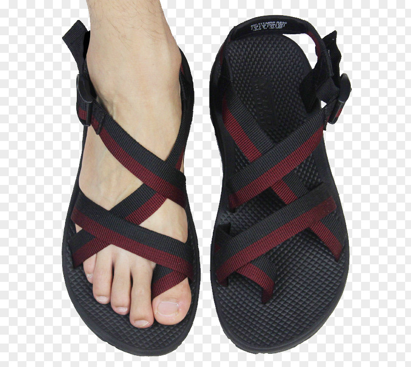 Sandals Image Slipper Sandal Shoe Flip-flops Boot PNG