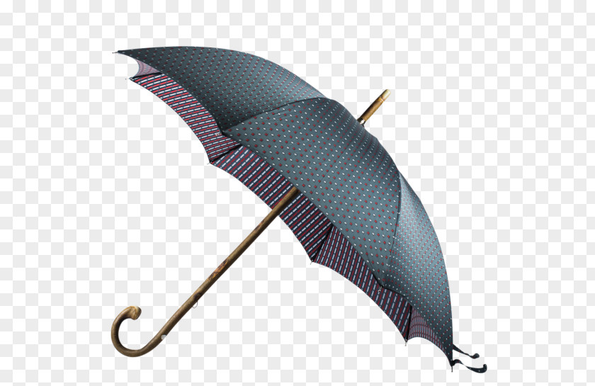 Silk Parasol Umbrella Antuca Clothing Accessories Retail PNG