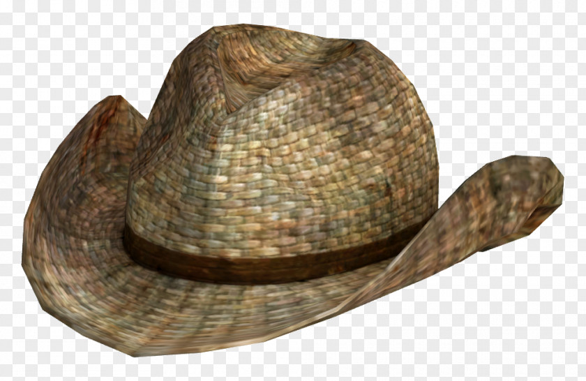 Snakeskin Hat Fallout: New Vegas Cowboy Straw PNG