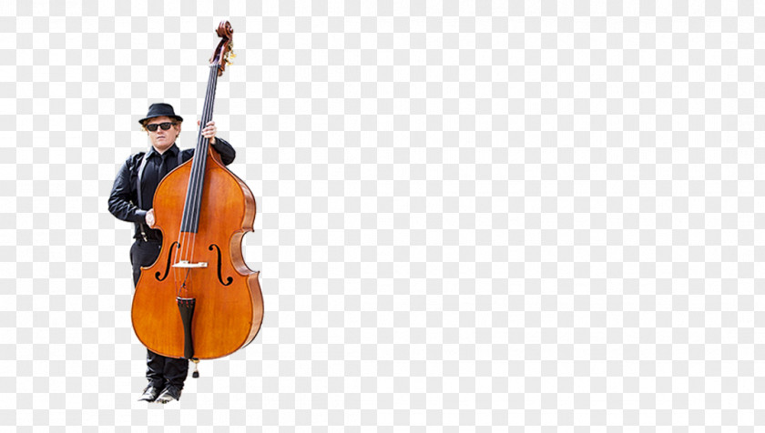 Violin Violone Double Bass Bluegrass Cello PNG