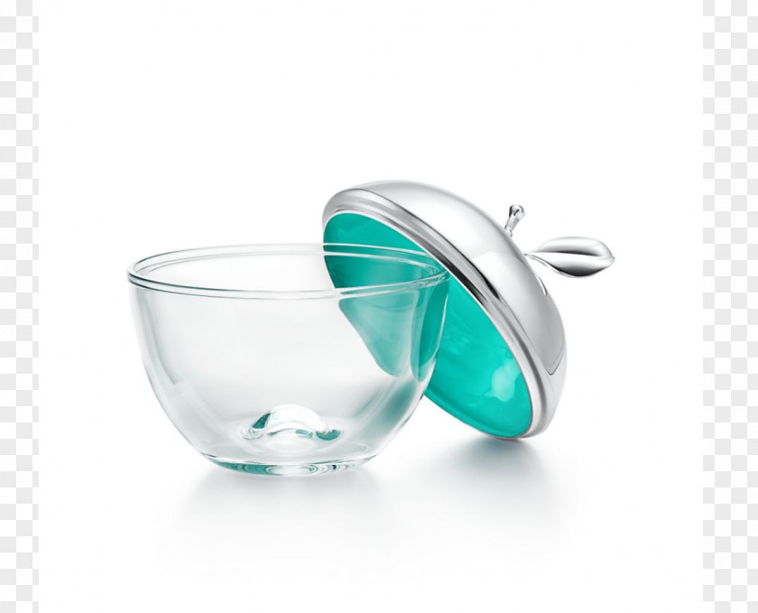 Apple Tiffany & Co. Turquoise Blue Box PNG