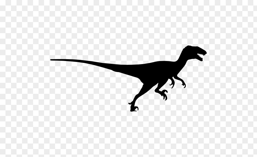 Dinosaur Vector Tyrannosaurus Deinonychus Velociraptor Apatosaurus Majungasaurus PNG