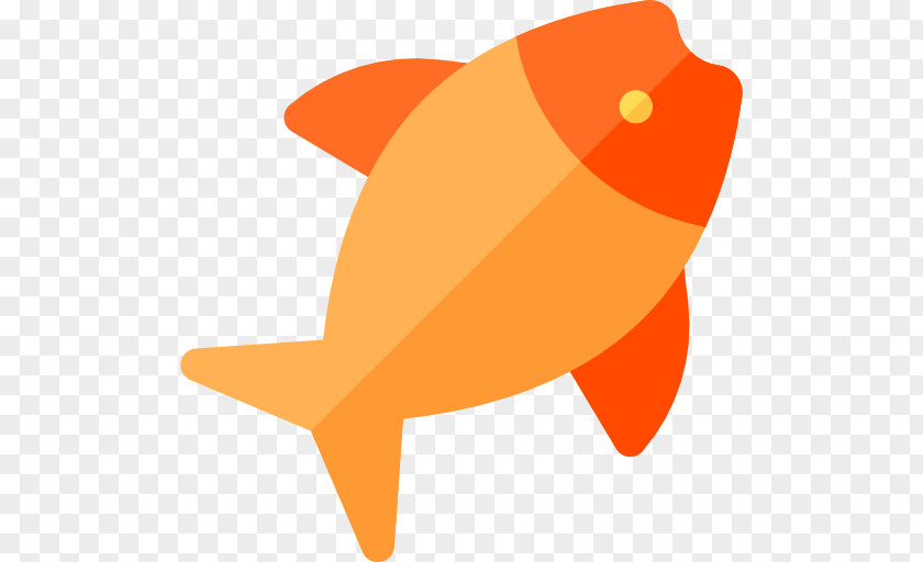 Fish Illinois Clip Art PNG