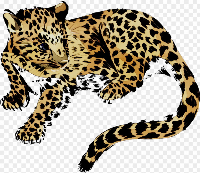 Leopard Jaguar Cheetah Tiger Pattern PNG