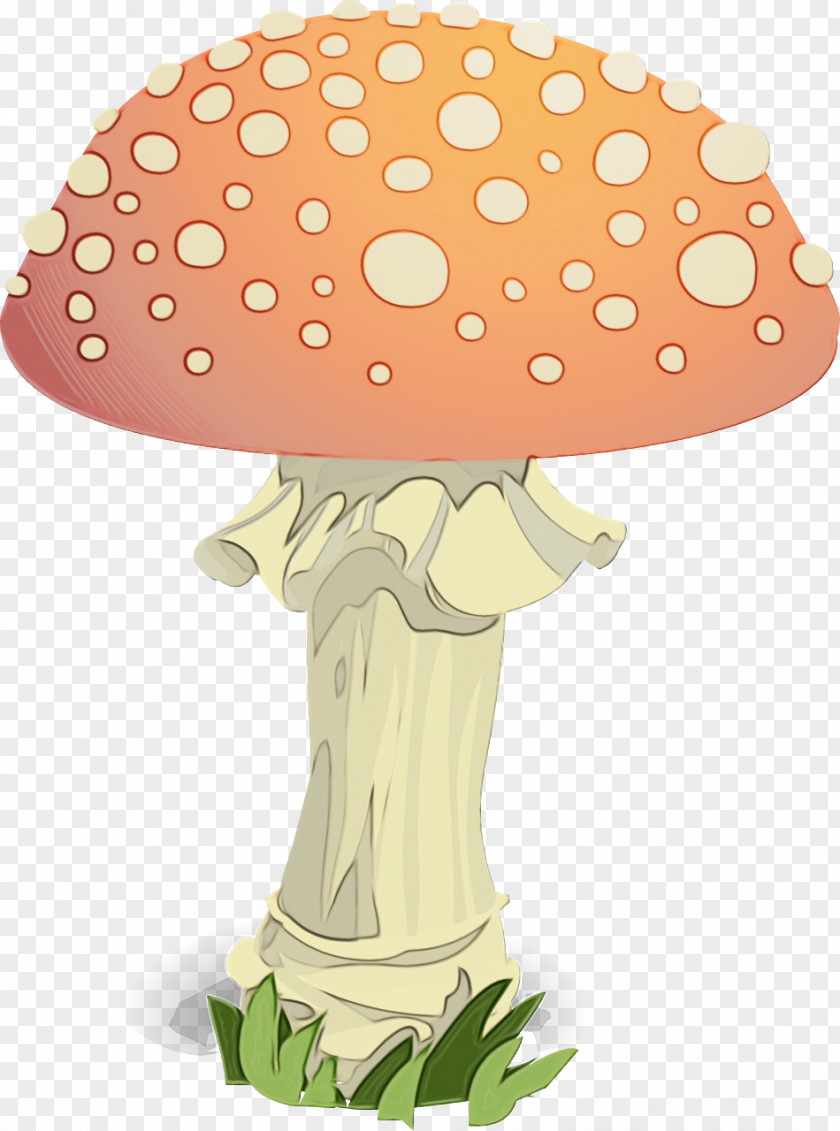 Fly Agaric Mushroom Agaricus Bisporus Fungus PNG
