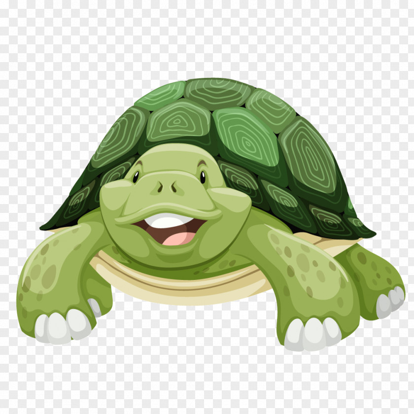 Green Turtle Cartoon Sea Clip Art PNG