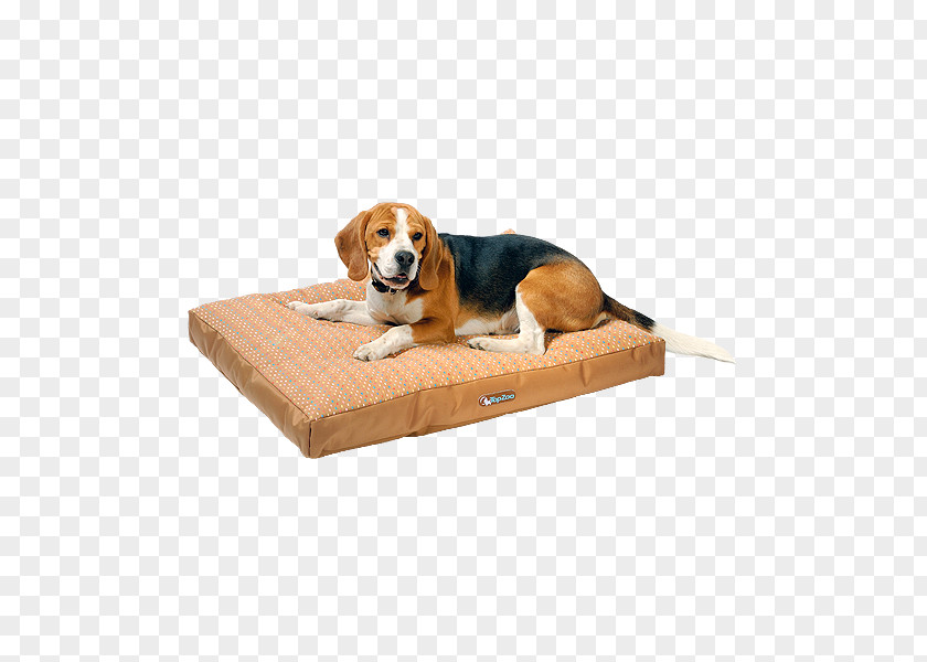 Bed Dog Breed Crate Companion PNG