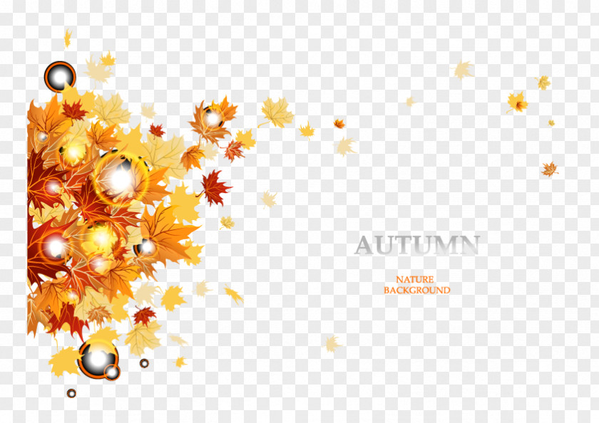 Creative Autumn Plant Vector Material Royalty-free PNG
