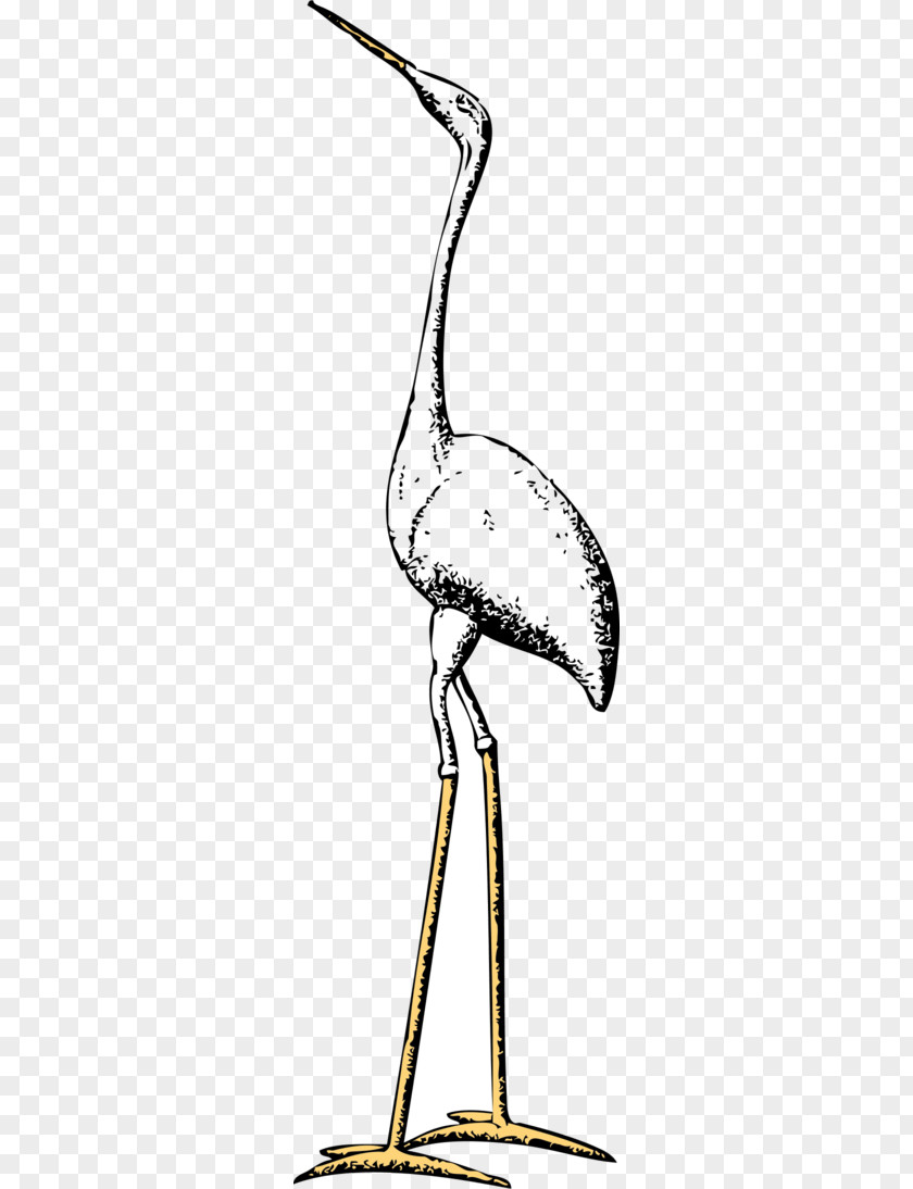 Free Stork Clipart Marabou Crane Bird Ciconia Clip Art PNG