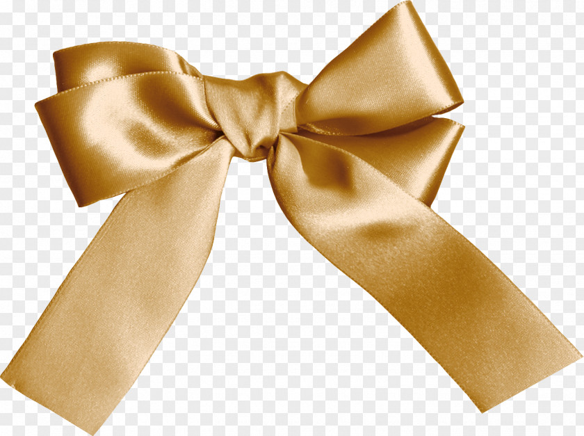 Ribbon Bow Tie Lazo PNG