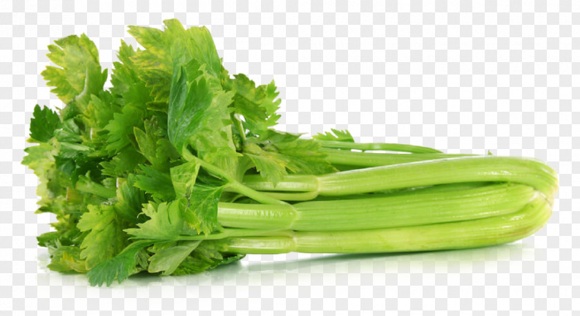 Vegetable Organic Food Greens Vegetarian Cuisine PNG