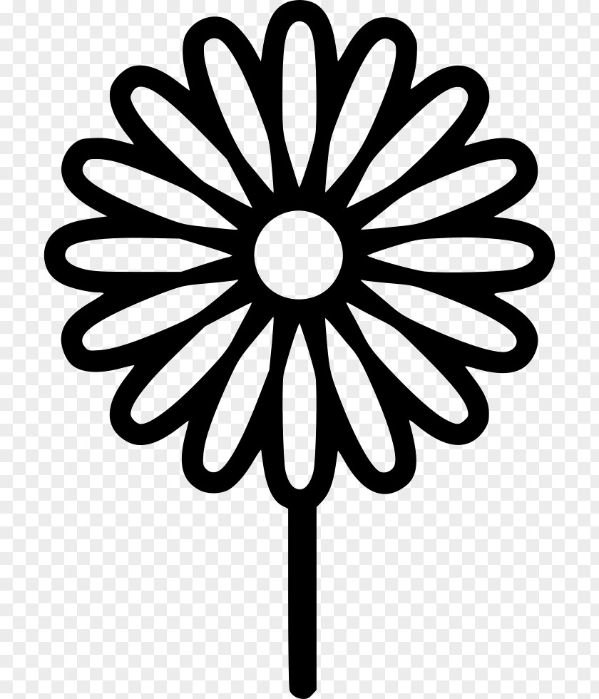 Chamomile Flower Vector Graphics Tree Clip Art Image Garden PNG