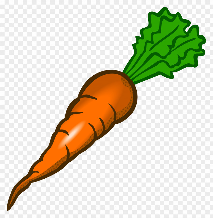 Cliparts Baby Carrots Carrot Vegetable Clip Art PNG