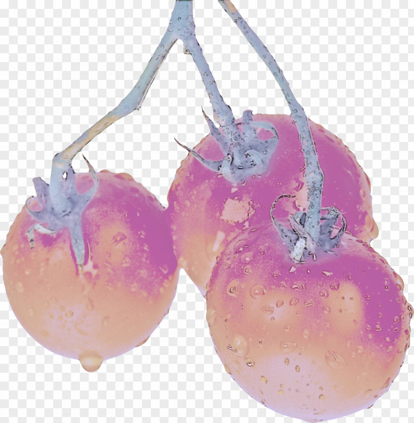 Food Fruit Plant PNG