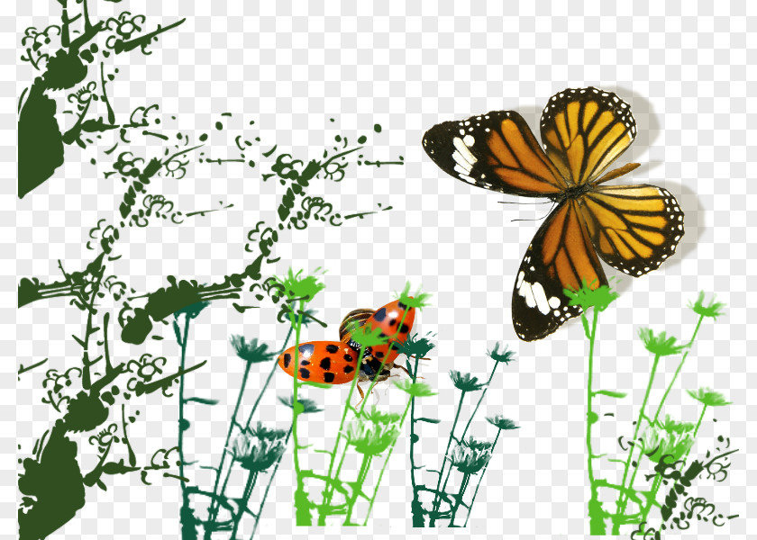 Ladybug And Butterfly Monarch Ladybird PNG