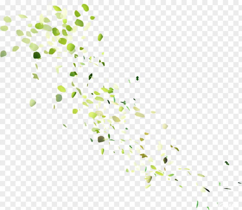 Light Leaf Clip Art PNG