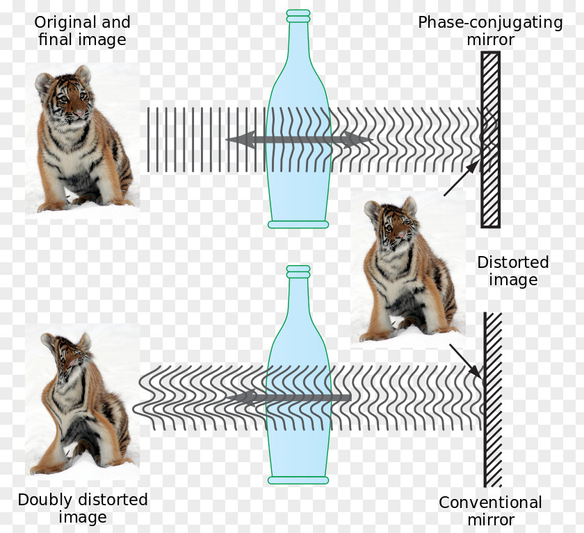 Light Phase Conjugation Reflection Time Reversal Signal Processing Nonlinear Optics PNG