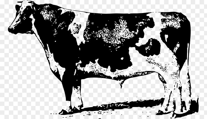 Beef Cattle Drawing Dairy Clip Art PNG