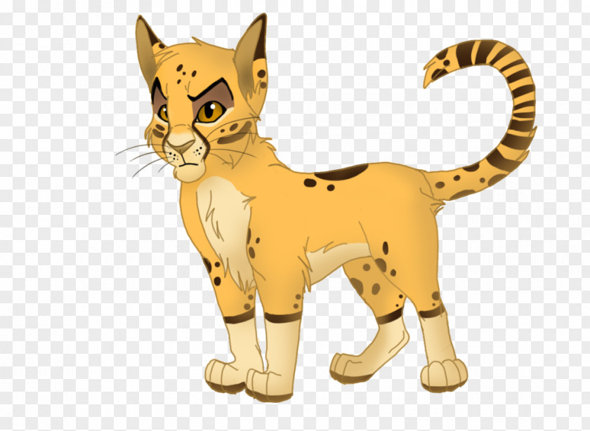 Cheetah Lion Whiskers Cat Tiger PNG