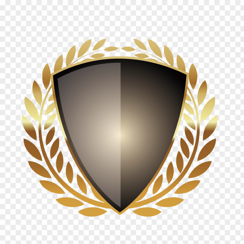 Dark Shield Metal Design Medal Gold PNG