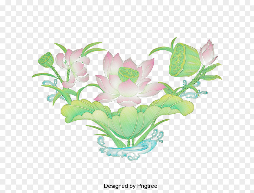 Design Floral Cartoon Image Sacred Lotus PNG