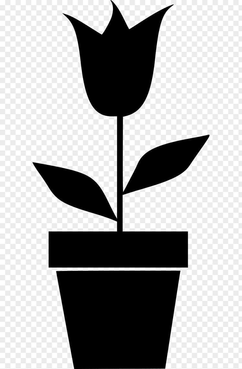 Pot Leaf Plant Flowerpot Clip Art PNG