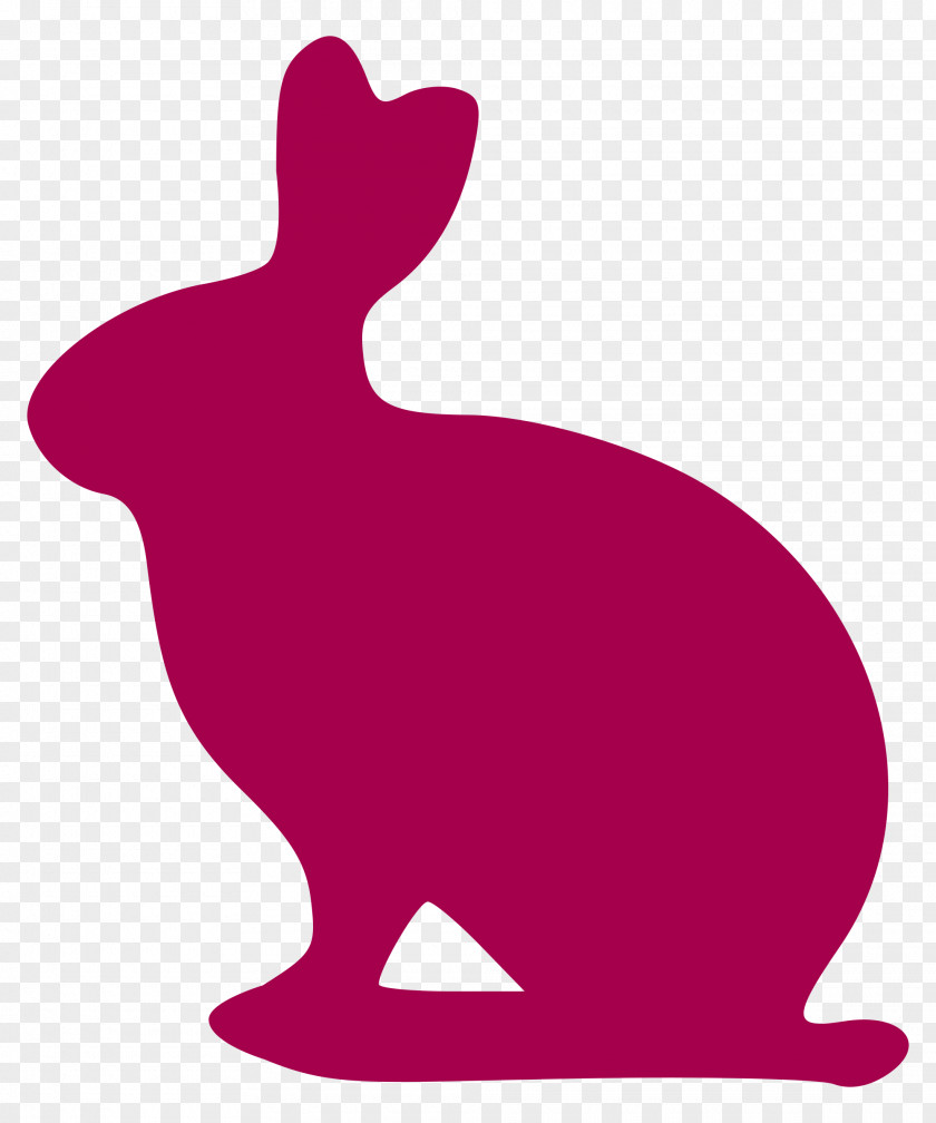 Rabbit Argente Belgian Hare Domestic European PNG