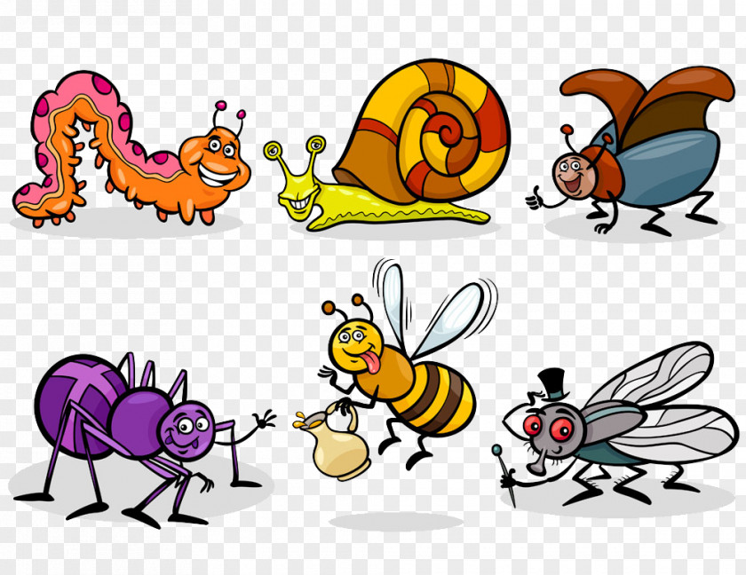 Cartoon Insects Collection Insect Illustration PNG