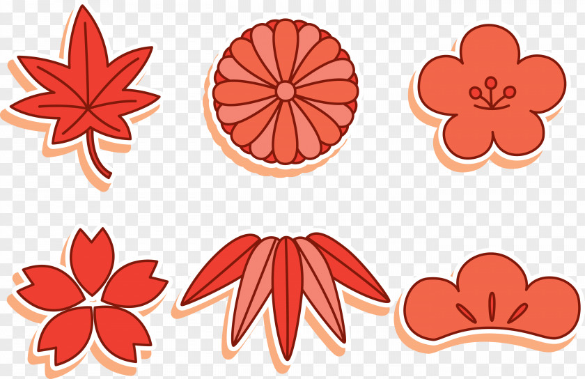 Japanese Maple Red Leaf Autumn Color PNG