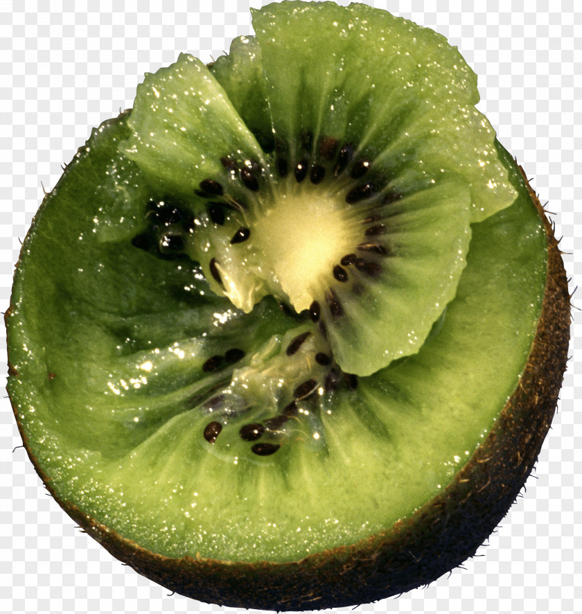 Kiwi Image Fruit Pictures Download Kiwifruit Actinidia Deliciosa Chinensis PNG