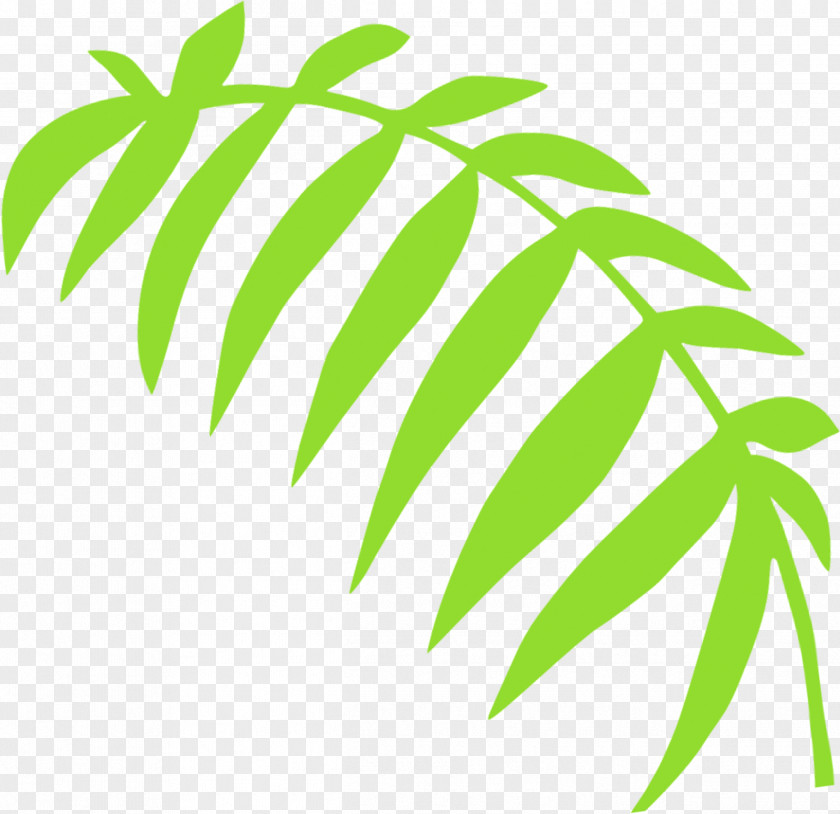 Leaf Clip Art Line Plant Stem Tree PNG