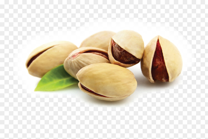 Pistachio Nut Clip Art PNG