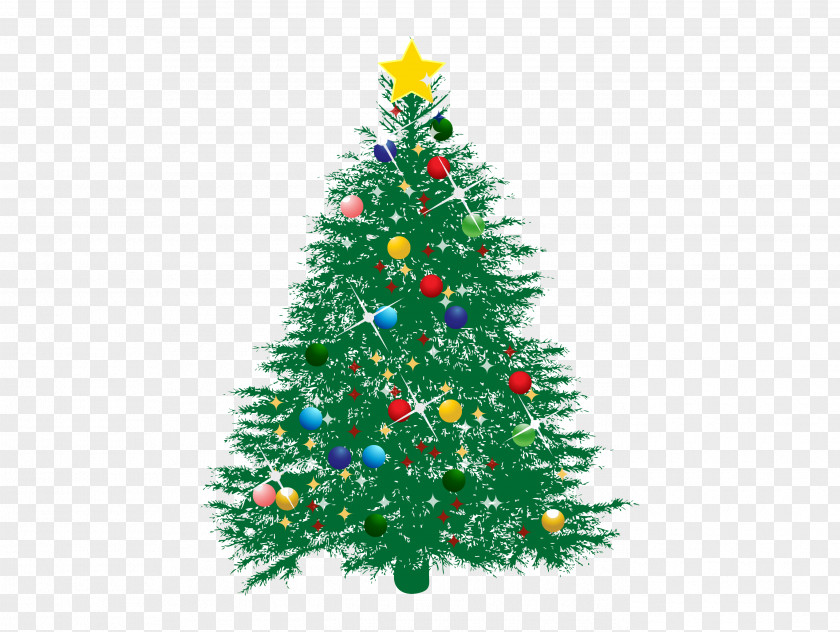 Christmas Tree Ornament Fir Pine PNG